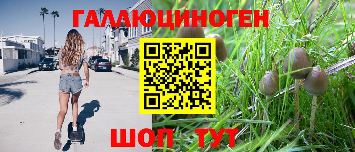 Красногорск  Псилоцибиновые грибы Psilocybe  Псилоцибиновые грибы ЛСД  Вход с VPN 