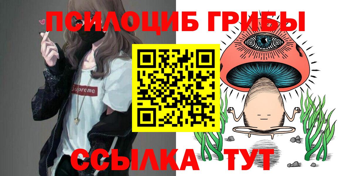 Галлюциногенные грибы Psilocybe Красногорск